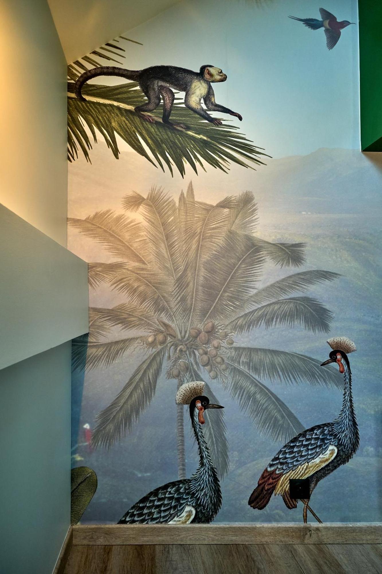 Little Jungle Atypique By Primo Conciergerie * Nevers